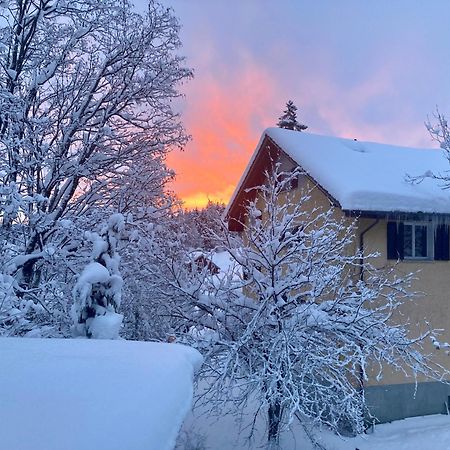 Ferienwohnung Haus Am Bach In Toggenburg Wildhaus Eksteriør billede