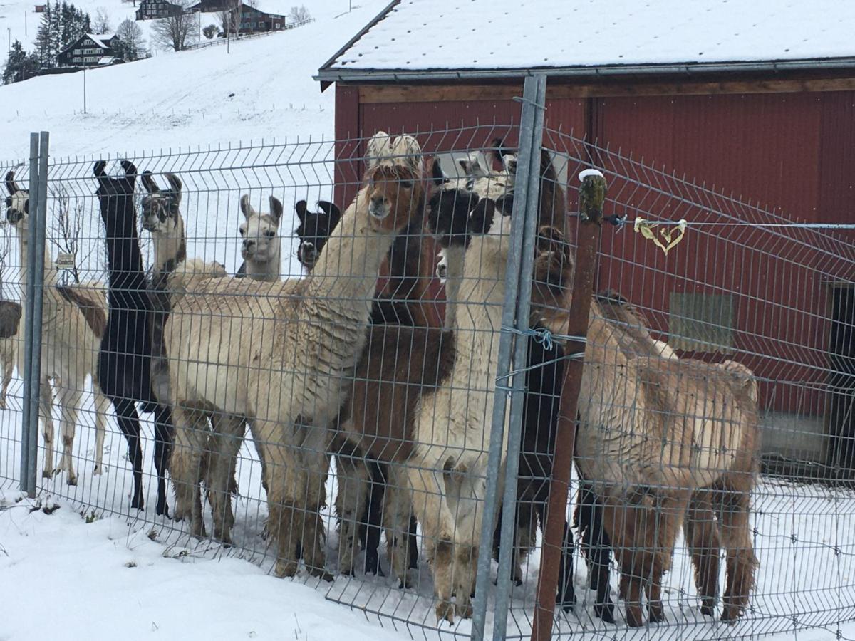 Ferienwohnung Haus Am Bach In Toggenburg Wildhaus Eksteriør billede