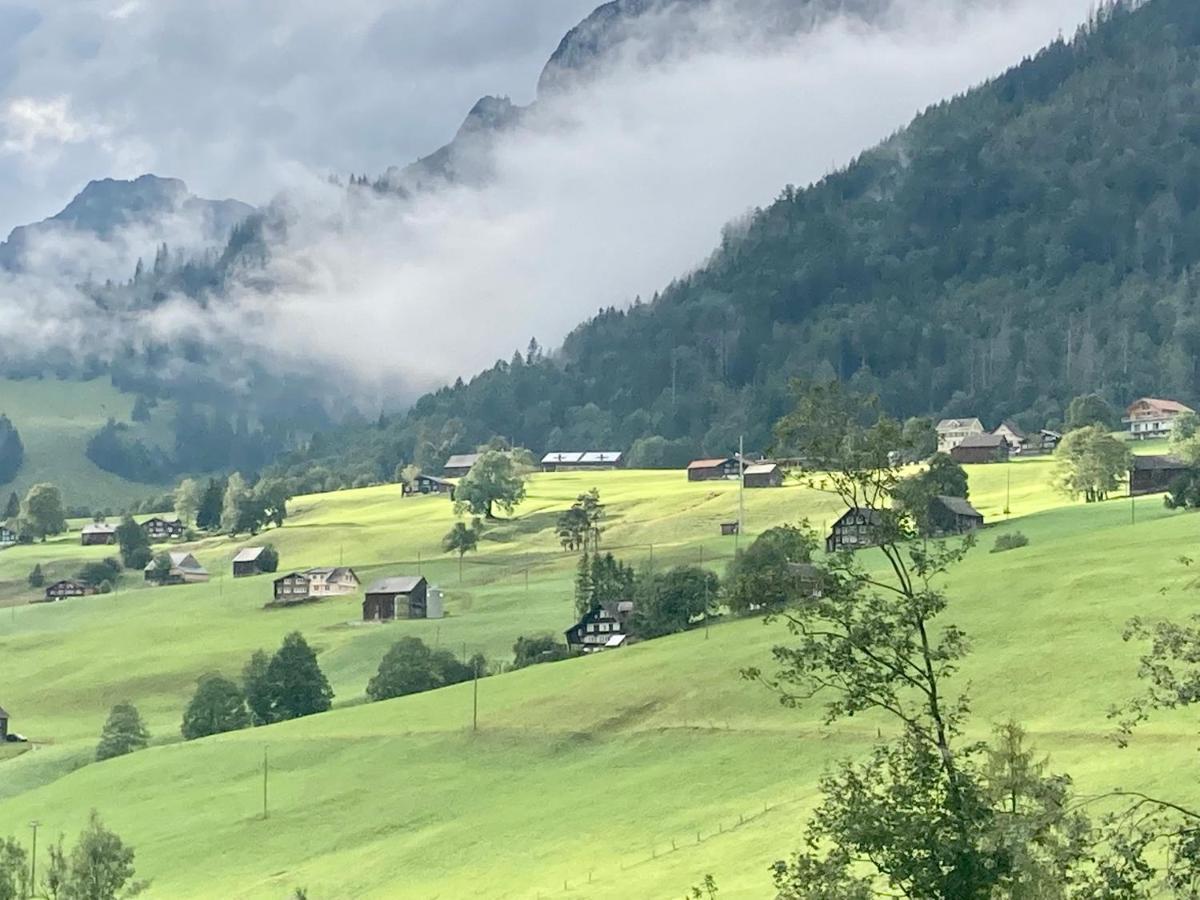 Ferienwohnung Haus Am Bach In Toggenburg Wildhaus Eksteriør billede