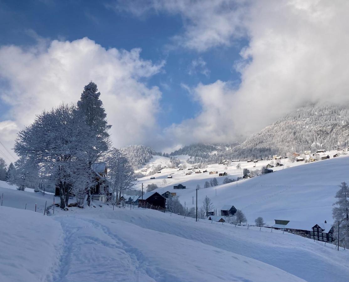 Ferienwohnung Haus Am Bach In Toggenburg Wildhaus Eksteriør billede