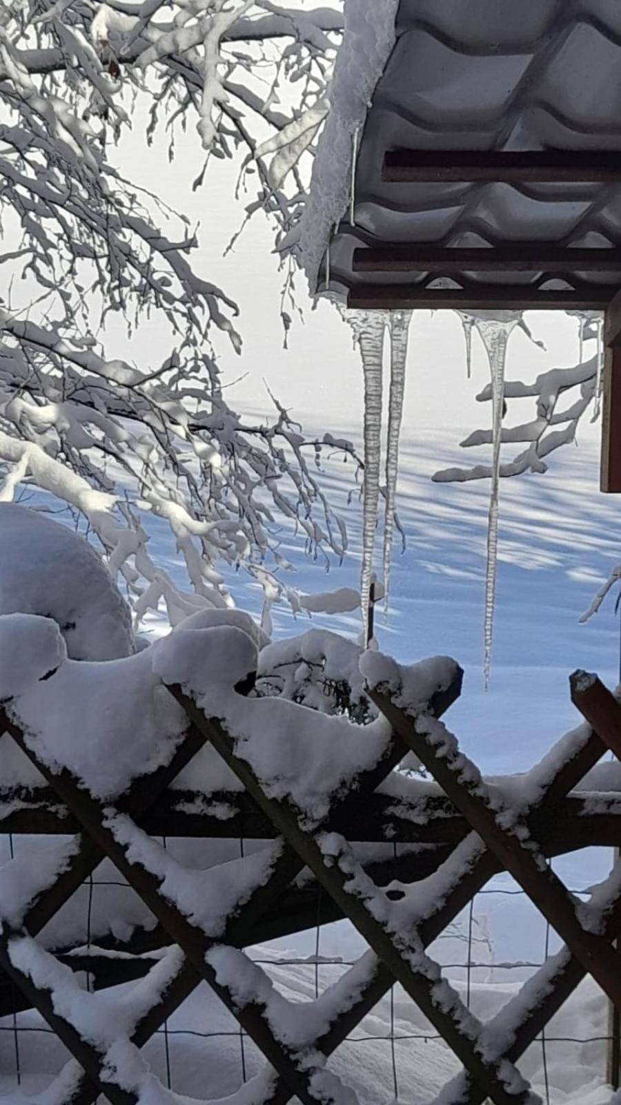 Ferienwohnung Haus Am Bach In Toggenburg Wildhaus Eksteriør billede