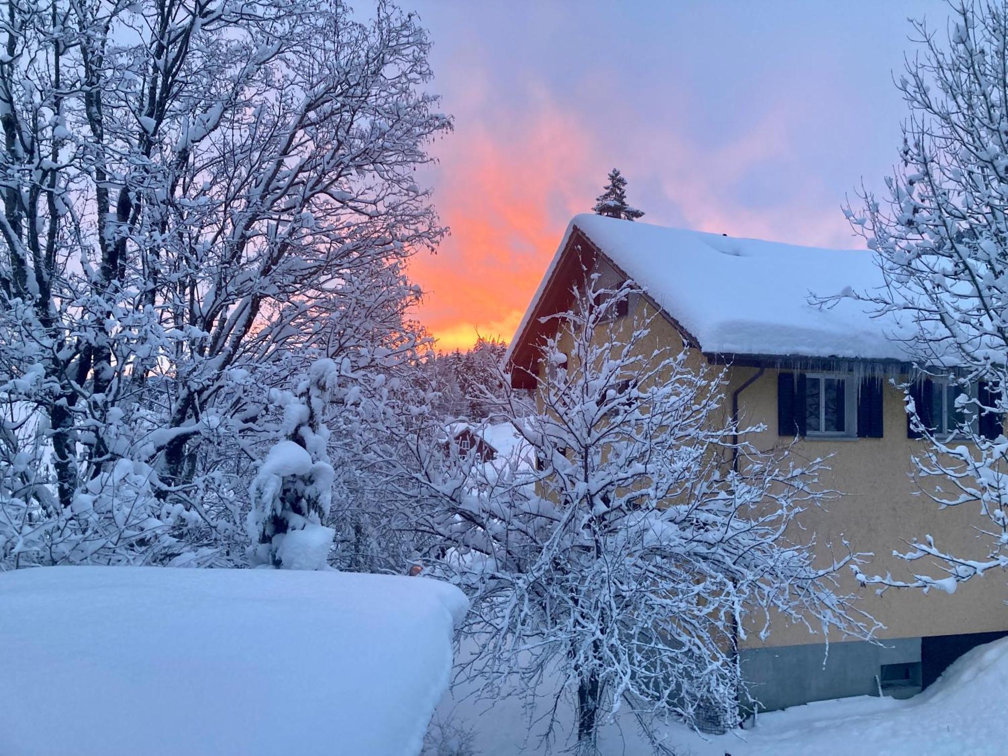Ferienwohnung Haus Am Bach In Toggenburg Wildhaus Eksteriør billede