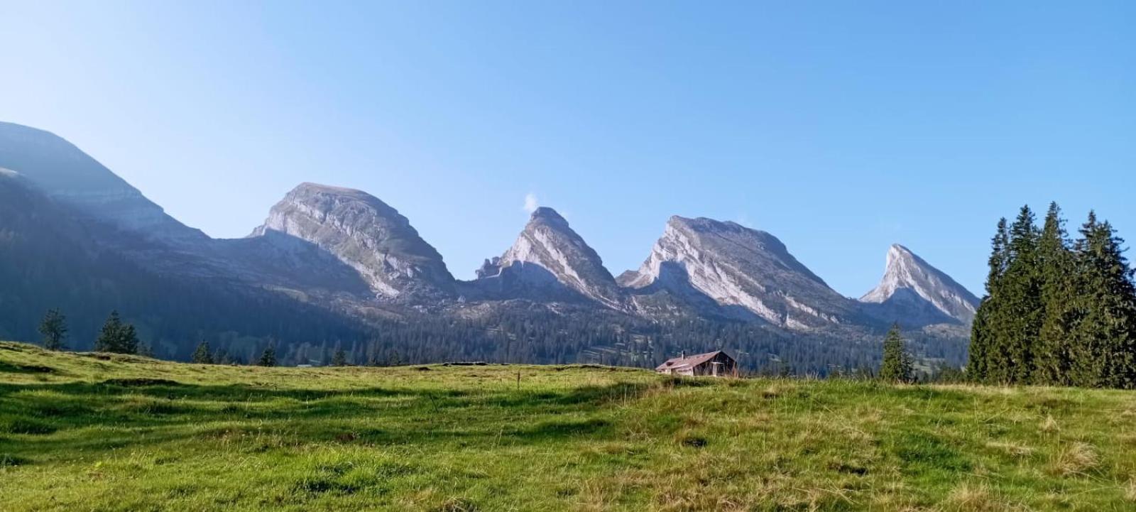 Ferienwohnung Haus Am Bach In Toggenburg Wildhaus Eksteriør billede
